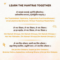 ClapCuddles™ Shiva & Ganesha Mantra Chanting Plush Combo